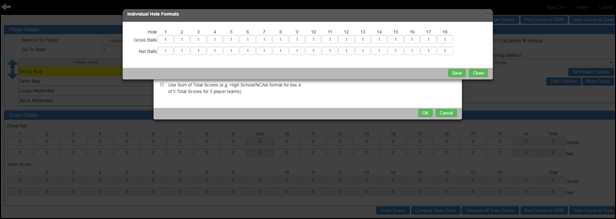 Hole Format - Scoring